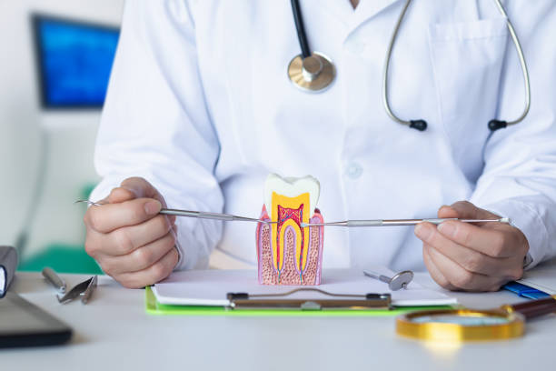 Best Emergency Dental Care for Trauma or Injury in Cashmere, WA